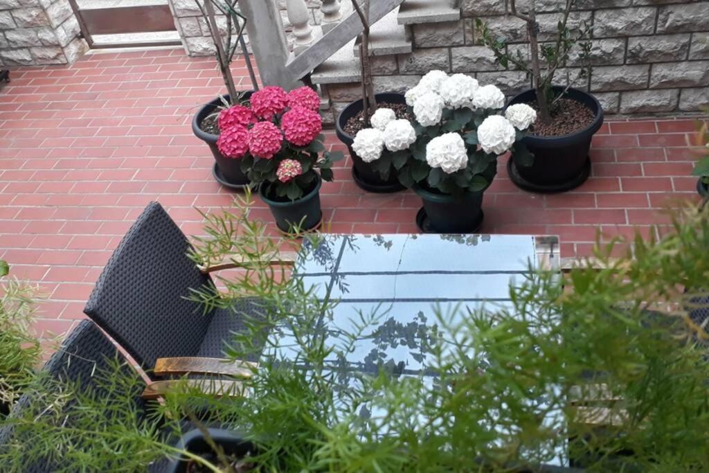 Apartment Eli 파그 외부 사진