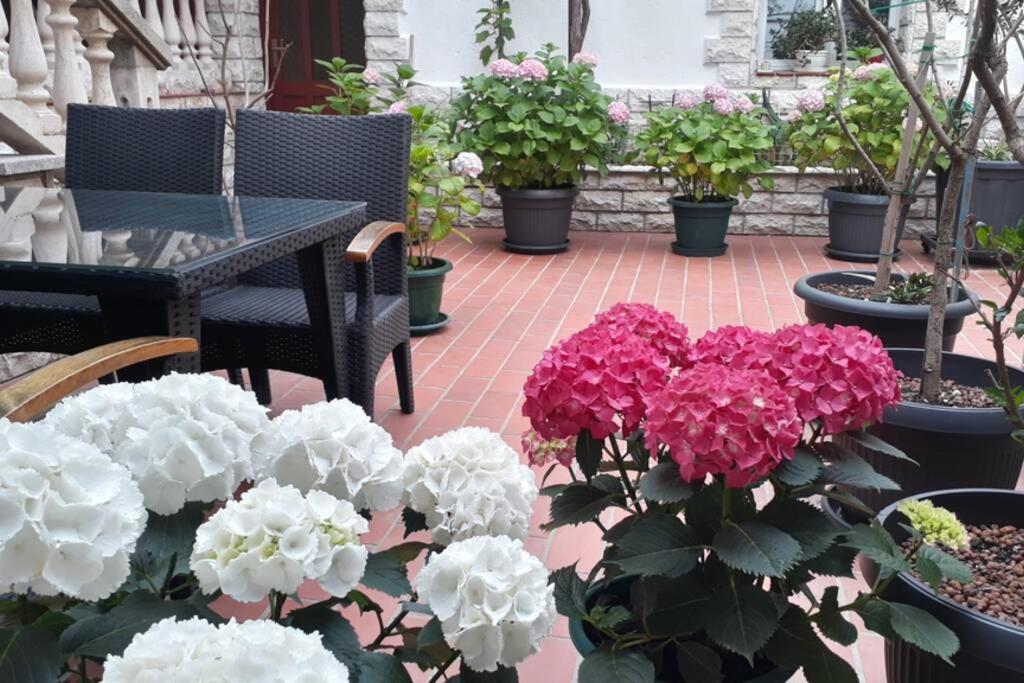 Apartment Eli 파그 외부 사진