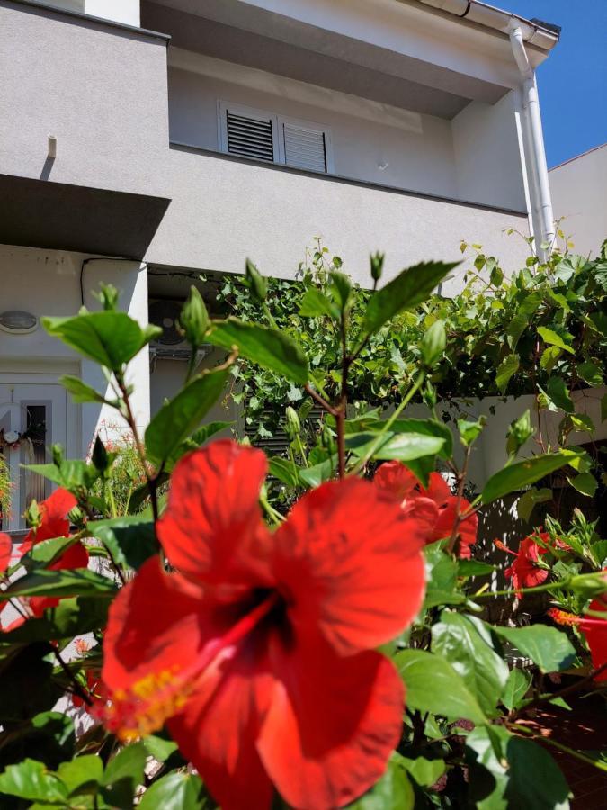 Apartment Eli 파그 외부 사진